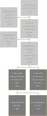 Acute Kidney Injury Associated With Urinary Stone Disease in Children and Young Adults Presenting to a Pediatric Emergency Department